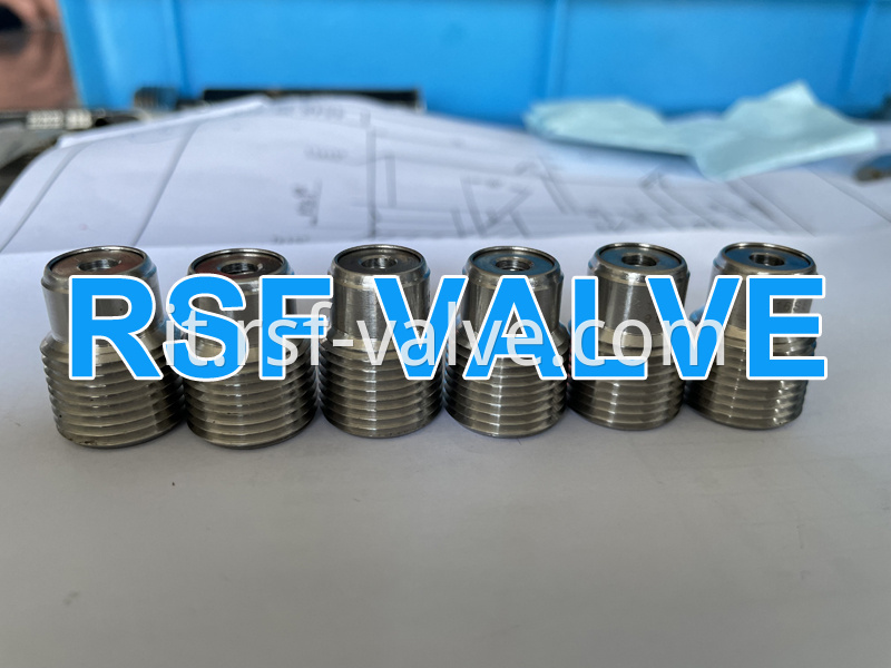 5 Check Valve Of Api 6d Ball Valve Rsf Valve Jpg